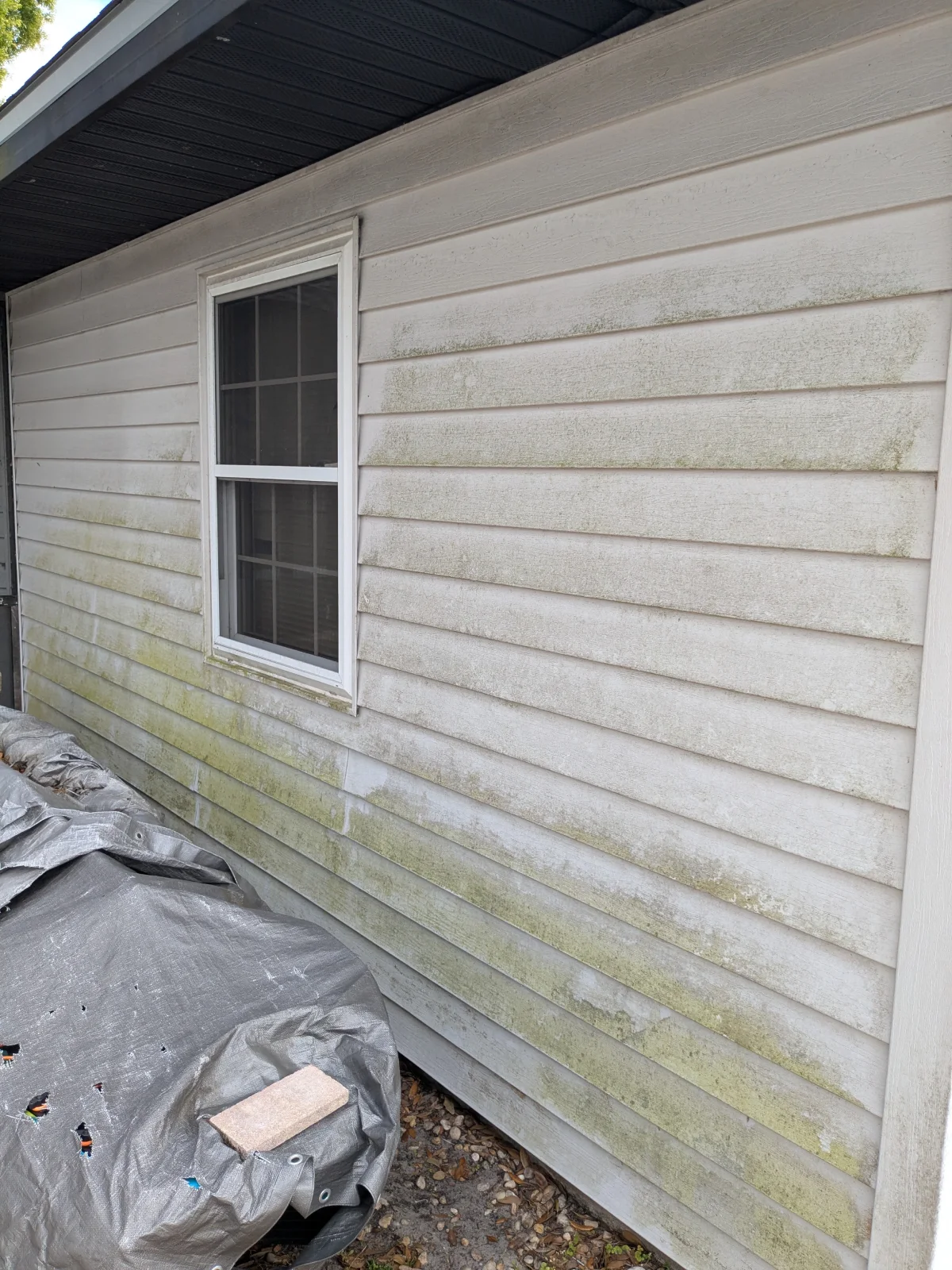 Dirty house siding with visible mold stains