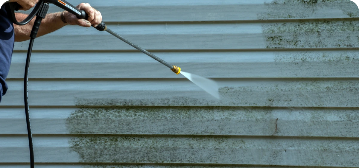Cleaning mold from house exterior